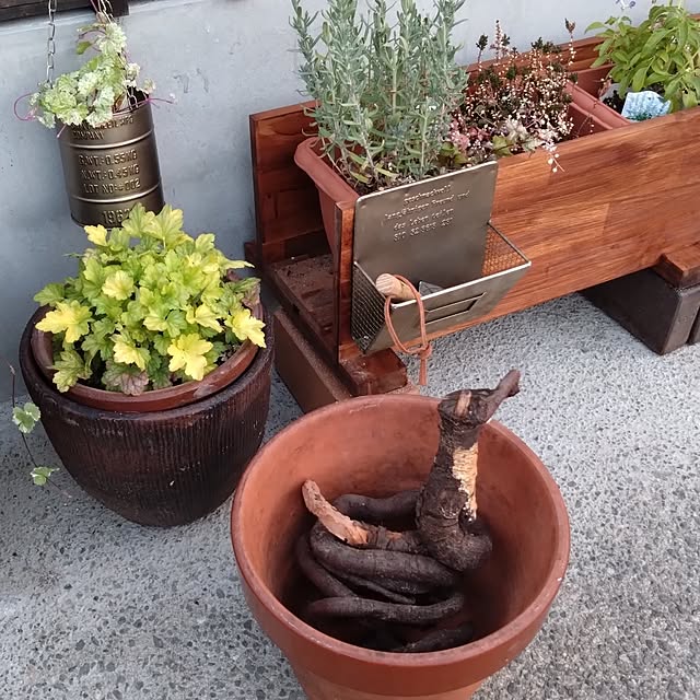 MIPORINNさんの部屋