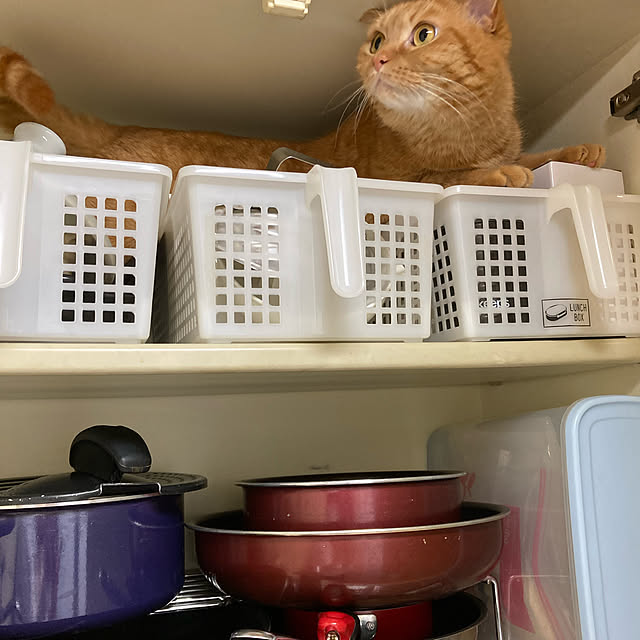 rumiさんの実例写真