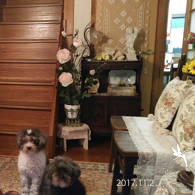 玄関/入り口のインテリア実例 - 2018-02-26 19:03:28