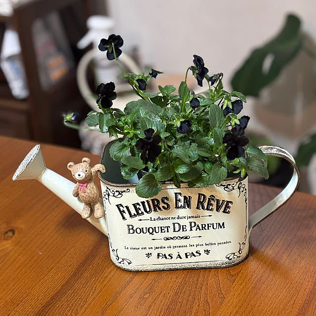 chIoeさんの部屋