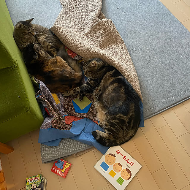 mikomaruさんの実例写真