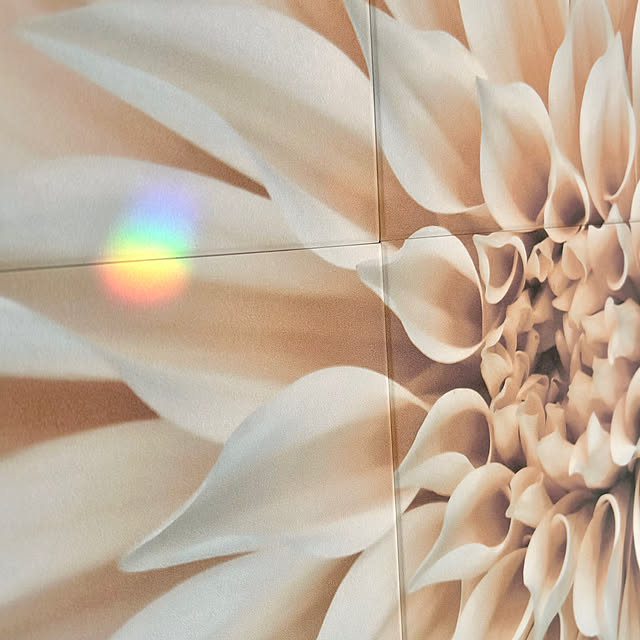 chiroさんの部屋