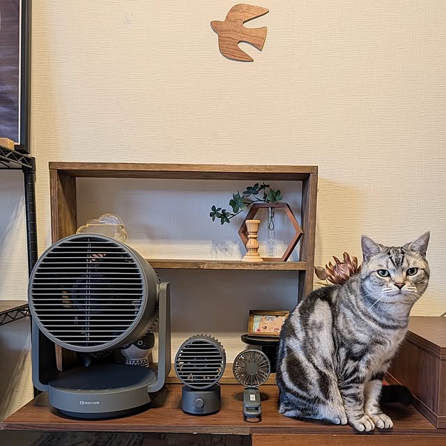 lovepeaceさんの実例写真