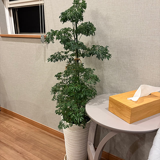 ikuzakさんの部屋