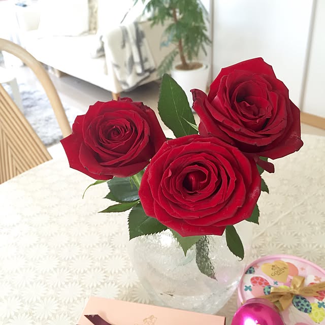 Rさんの実例写真