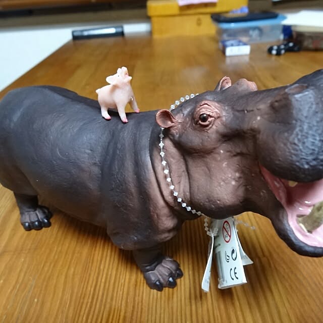 実例写真