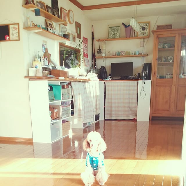 Sanaeさんの実例写真