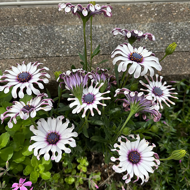 omasaさんの部屋