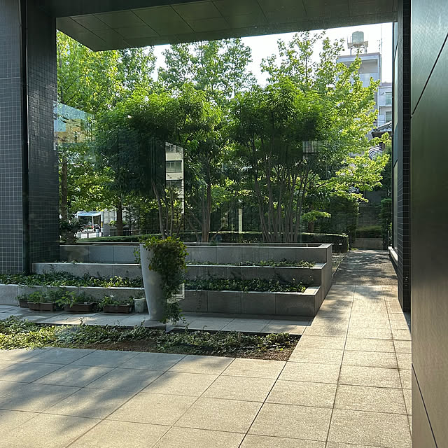 cocoさんの部屋