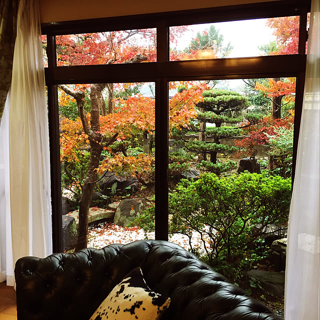 kentaroさんの実例写真