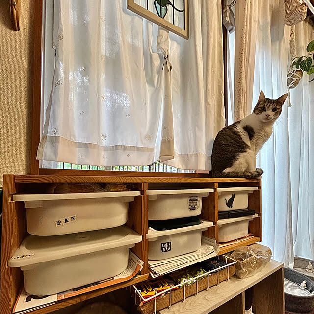 Lufuさんの部屋