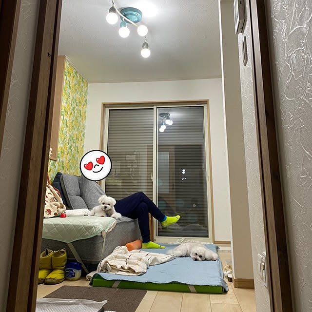 Annieさんの実例写真