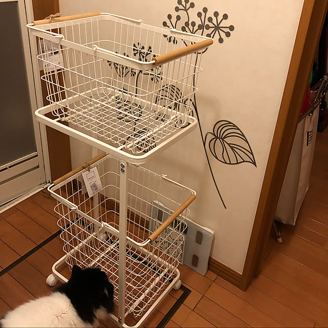 reonさんの実例写真