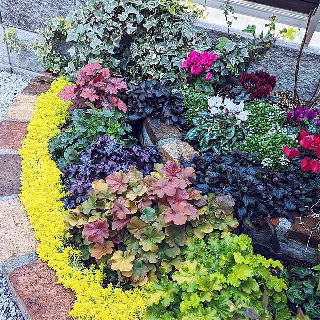 kohakuさんの実例写真