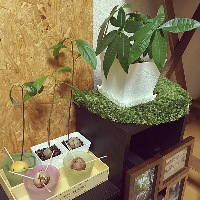 to0omo0oさんの実例写真
