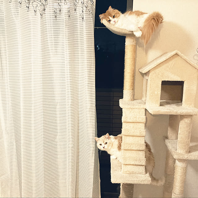 H.Tさんの実例写真