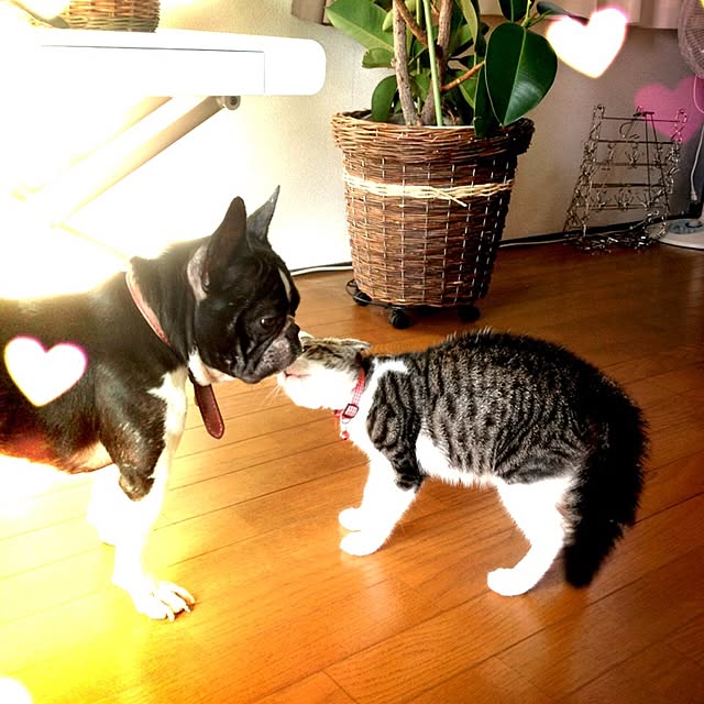 87さんの実例写真