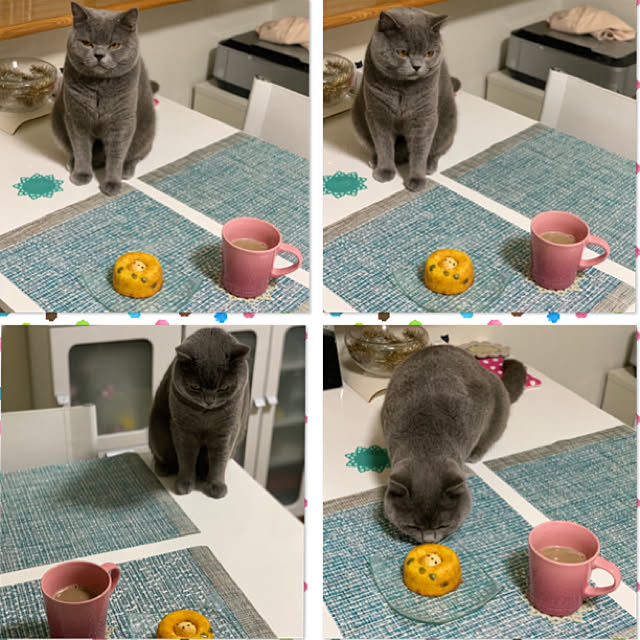 kittyさんの実例写真