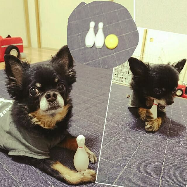 lovepeaceさんの実例写真