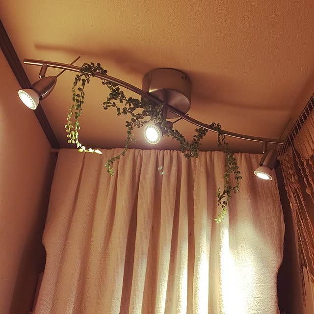 nonpiiiさんの実例写真