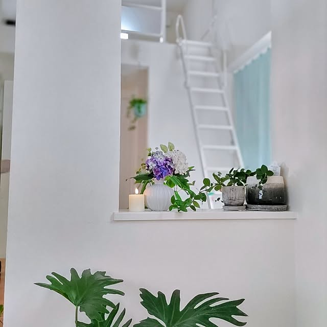 .Haさんの実例写真