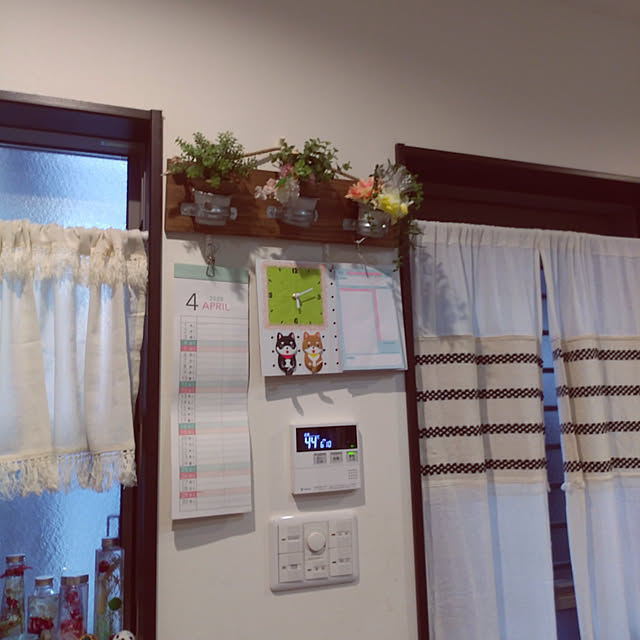 kyukyuさんの実例写真
