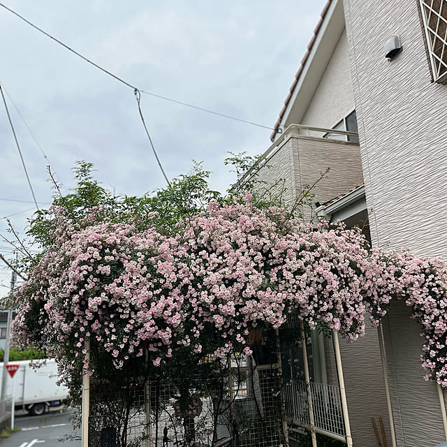 millさんの実例写真
