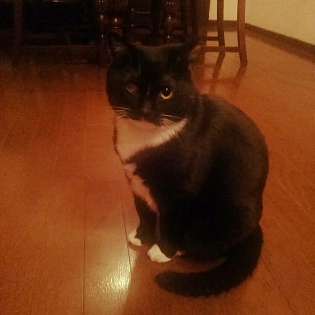 sukusuku834さんの実例写真