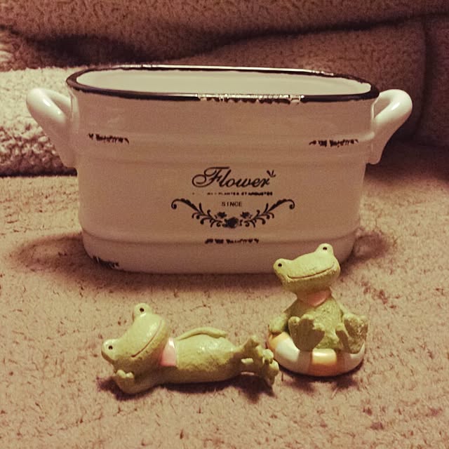 Naomiさんの実例写真