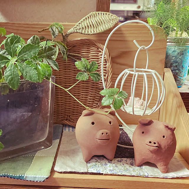 Yukiさんの実例写真