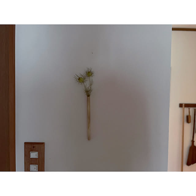 marucoさんの部屋