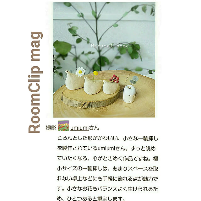 umiumiさんの実例写真