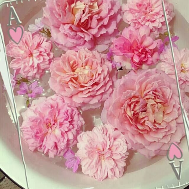 Yumiさんの実例写真