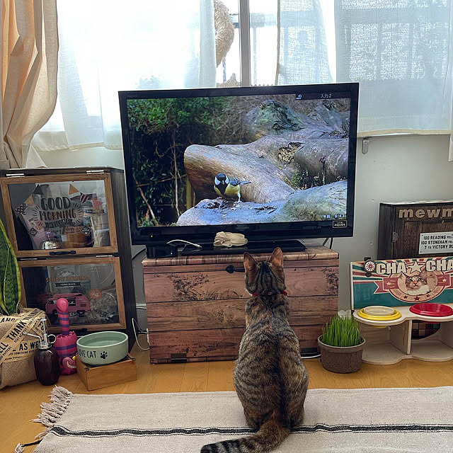 mikaさんの実例写真