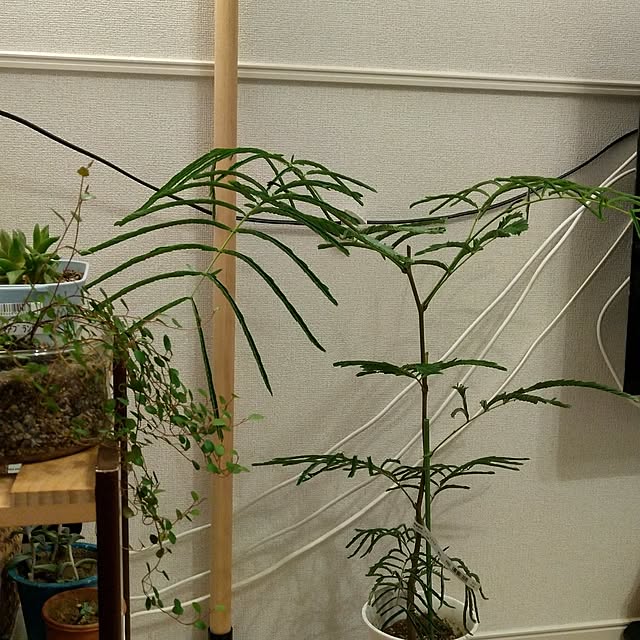 yuk.さんの部屋