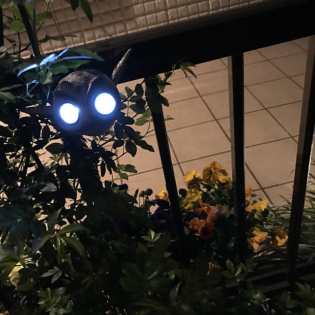 masakoさんの実例写真