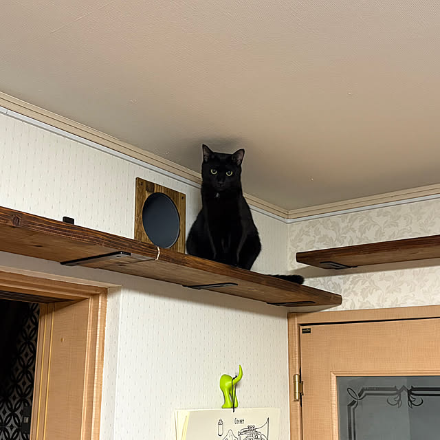 Tetsuyaさんの部屋