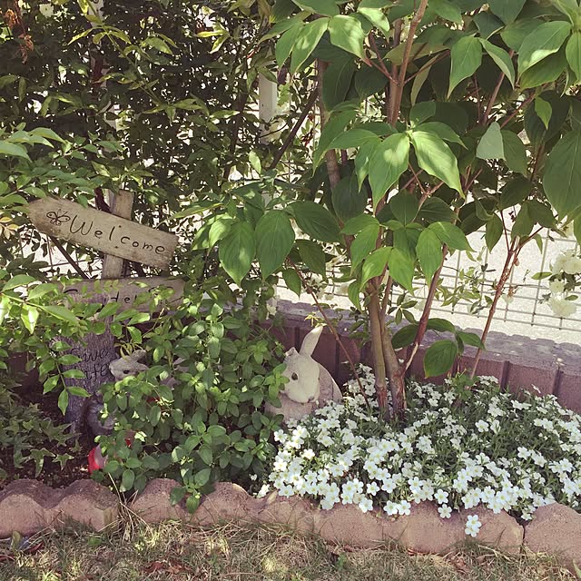 kattsuさんの実例写真
