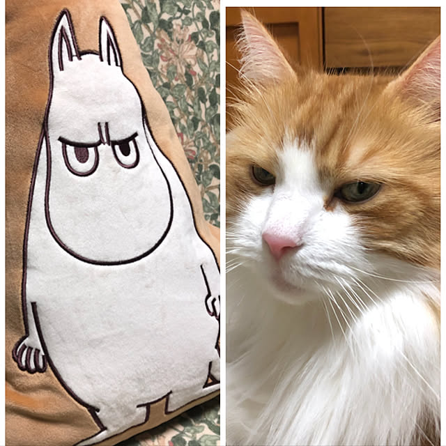 uchidaizuさんの実例写真