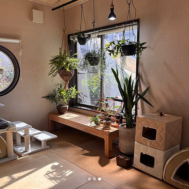 greycatsさんの部屋