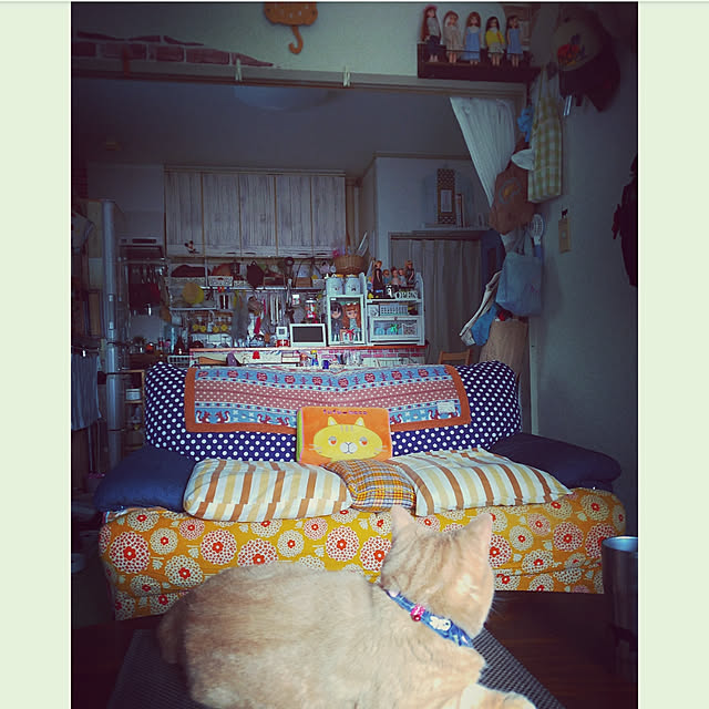 mntcさんの実例写真