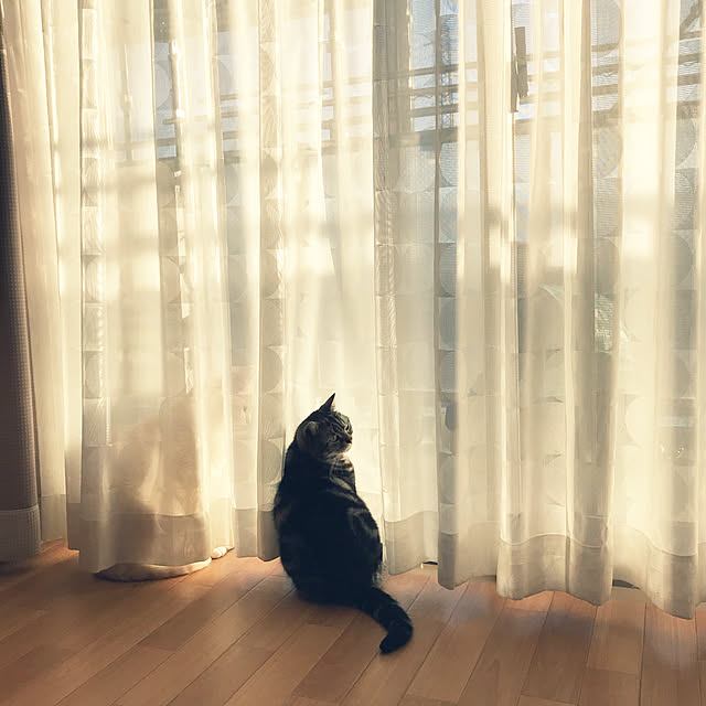 hiyupan88さんの実例写真