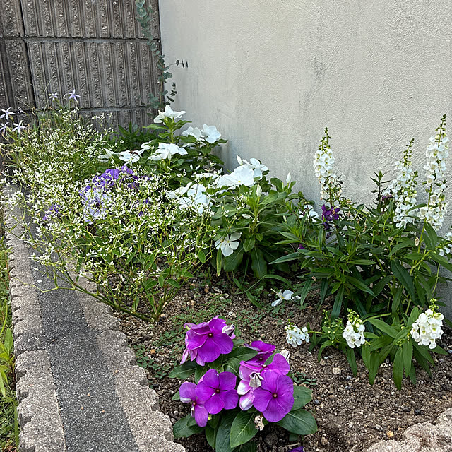 Aoiさんの実例写真