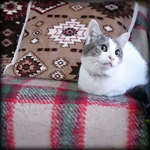 Lukiさんの実例写真