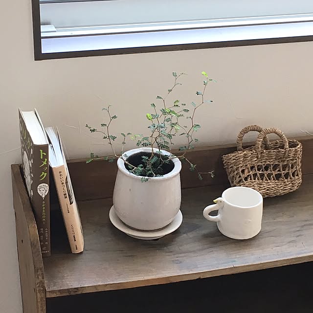 akoehonさんの実例写真