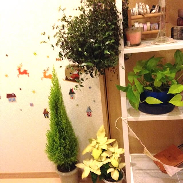 mikaさんの実例写真