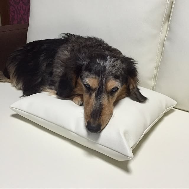 RiokOさんの実例写真