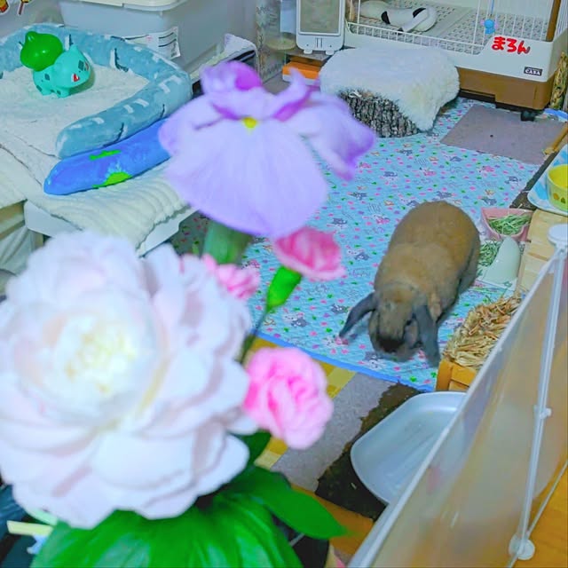 mariaさんの実例写真