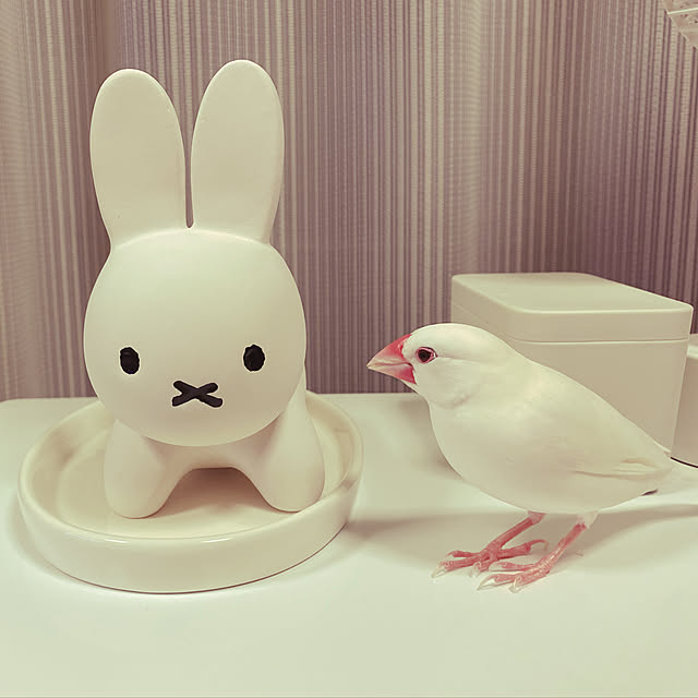 sakukomaさんの実例写真