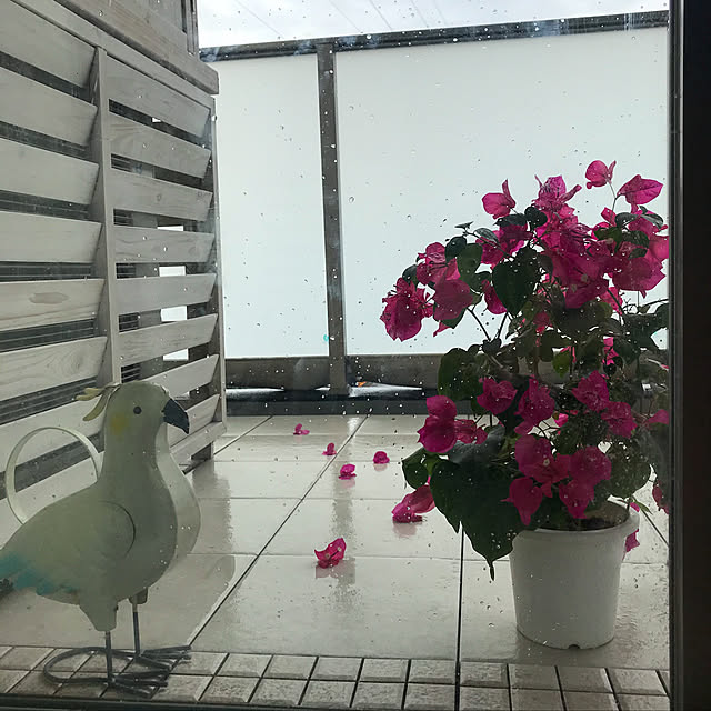 cantikさんの実例写真